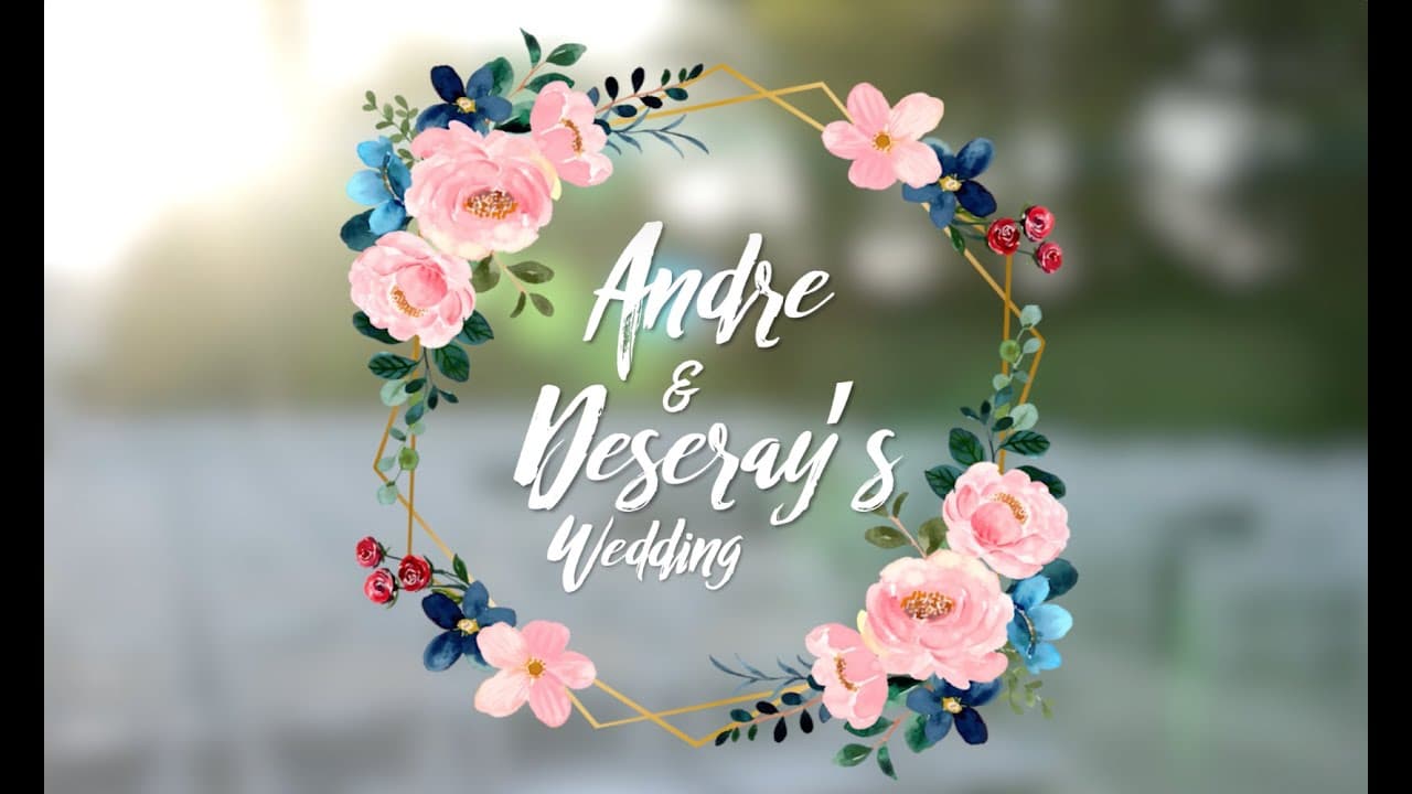 Andre & Deseray Recap Video